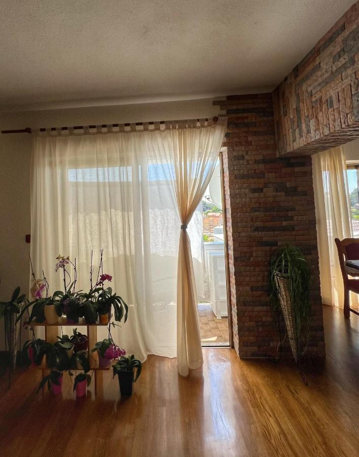 Apartmani Mia Palit Exterior foto